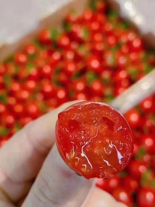 小番茄，国内绿色种植，浓郁爆浆，甜度高 商品图0