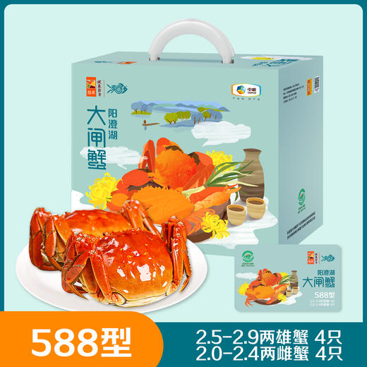 【分仓直发包邮】中粮凌鲜阳澄湖大闸蟹588型(阳澄湖大闸蟹为原产地直发，发货时间为10月22日左右） 商品图0