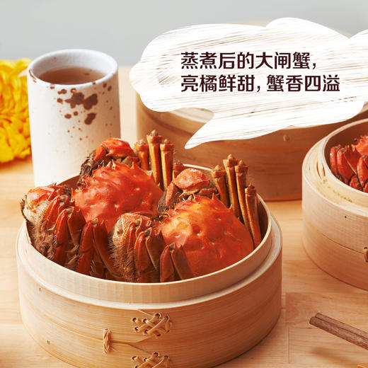 【分仓直发包邮】中粮凌鲜阳澄湖大闸蟹1188型(阳澄湖大闸蟹为原产地直发，发货时间为10月22日左右） 商品图6