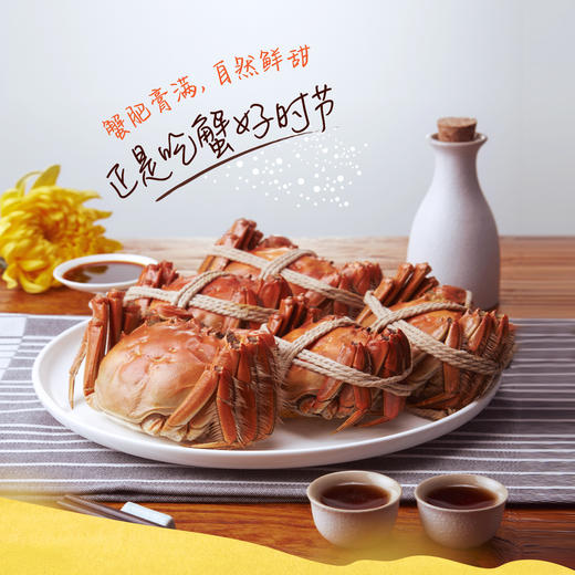 【分仓直发包邮】中粮凌鲜阳澄湖大闸蟹1188型(阳澄湖大闸蟹为原产地直发，发货时间为10月22日左右） 商品图2