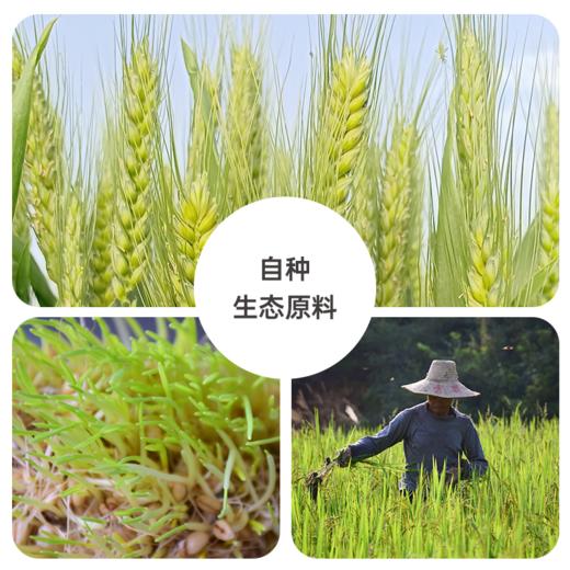 生态麦芽糖 | 香甜醇厚 麦芽清香 自然甘甜  浓稠拉丝 87度饴糖级  | 公平贸易 * Maltose | Fair Trade 商品图10