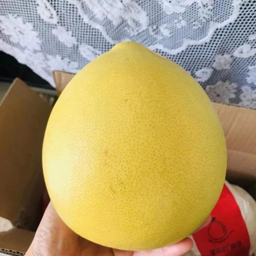 【柚里】福柚来 红心蜜柚 第十季 商品图2