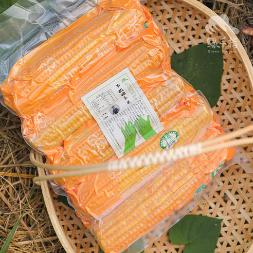 有机糯玉米（鲜食真空包装） | 合作生产* Organic fresh corn | Coproduction 商品图1
