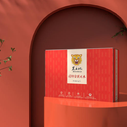  【金奖大米 咏礼记五常大米】国家地理标志产品，金奖稻花香，开锅满屋香！ 商品图3