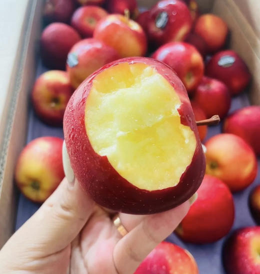 新西兰🇳🇿Dazzle丹硕苹果🍎脆爽、色泽鲜红，有颜值有内涵。而且性价比很高 商品图1