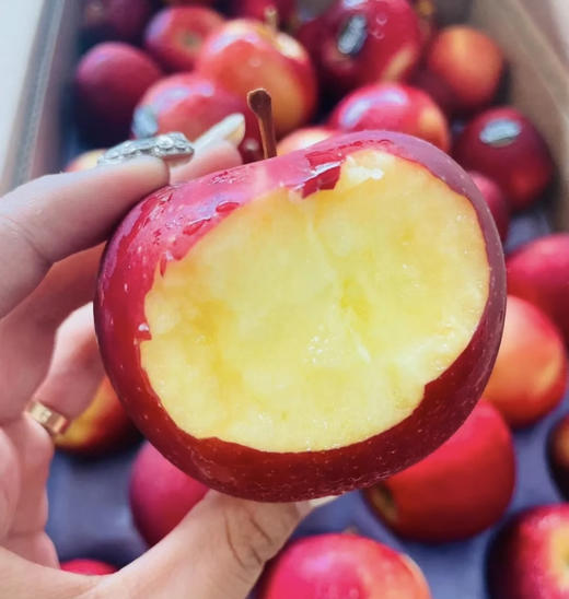 新西兰🇳🇿Dazzle丹硕苹果🍎脆爽、色泽鲜红，有颜值有内涵。而且性价比很高 商品图0