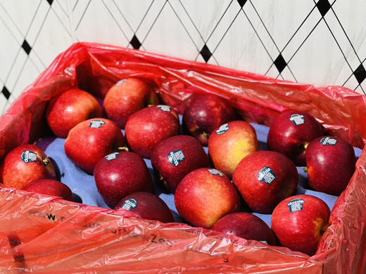 新西兰🇳🇿Dazzle丹硕苹果🍎脆爽、色泽鲜红，有颜值有内涵。而且性价比很高 商品图3