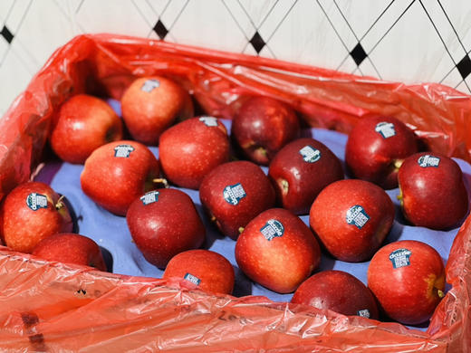 新西兰🇳🇿Dazzle丹硕苹果🍎脆爽、色泽鲜红，有颜值有内涵。而且性价比很高 商品图4