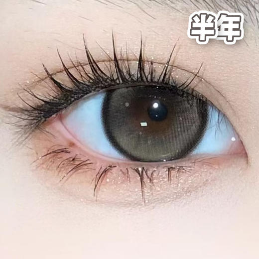 #Polly 朱丽叶 棕 14.5mm 【1片装】舒适推荐 / 半年抛 商品图0