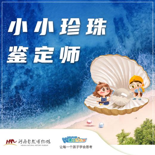 【河南自博-研学】小小珍珠鉴定师 商品图0