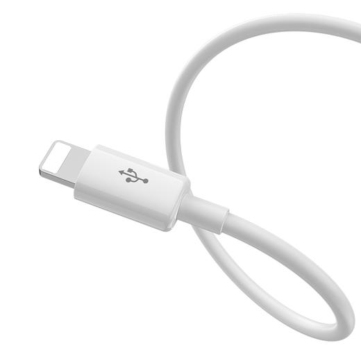 品胜 二合一充电线1m 苹果+Type-c充电线 一拖二线 苹果华为小米通用数据线 线长1米 商品图1