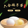 【预售】东晨鸽子蛋30枚 线上（只发南京） 商品缩略图0