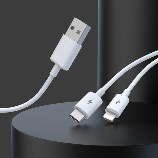 品胜 二合一充电线1m 苹果+Type-c充电线 一拖二线 苹果华为小米通用数据线 线长1米 商品图8