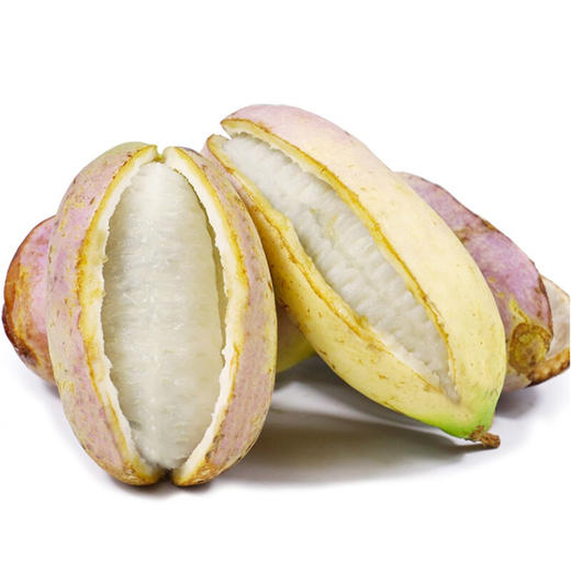 【新鲜采摘】张湾区秦家坪村八月瓜1斤 商品图0