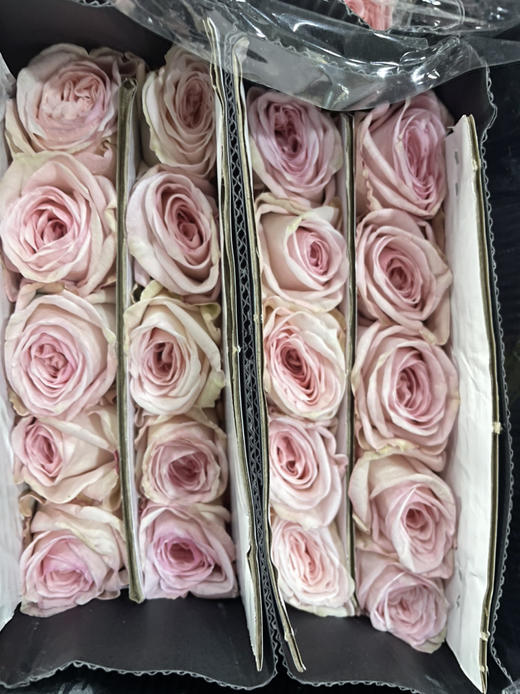 【秒杀福利】粉荔枝  20枝/扎 商品图3