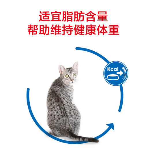 皇家I27/F32室内营养成猫粮2kg/10kg 商品图4