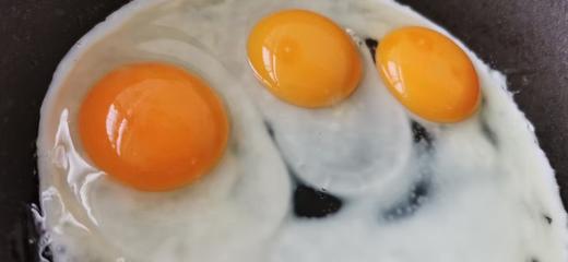 一正有机山鸡蛋 40枚/件  山间梯田放养，美味，安全，营养，新鲜 商品图10