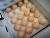 一正有机山鸡蛋 40枚/件  山间梯田放养，美味，安全，营养，新鲜 商品缩略图5