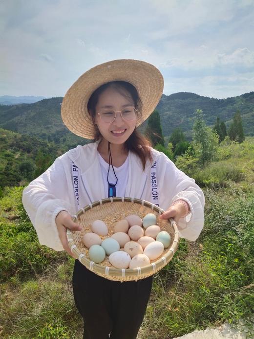 一正有机山鸡蛋 40枚/件  山间梯田放养，美味，安全，营养，新鲜 商品图4