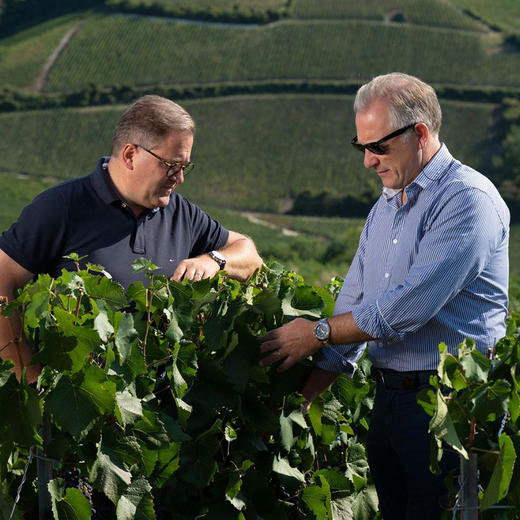 查尔斯海德希克天然型香槟NV 商品图3