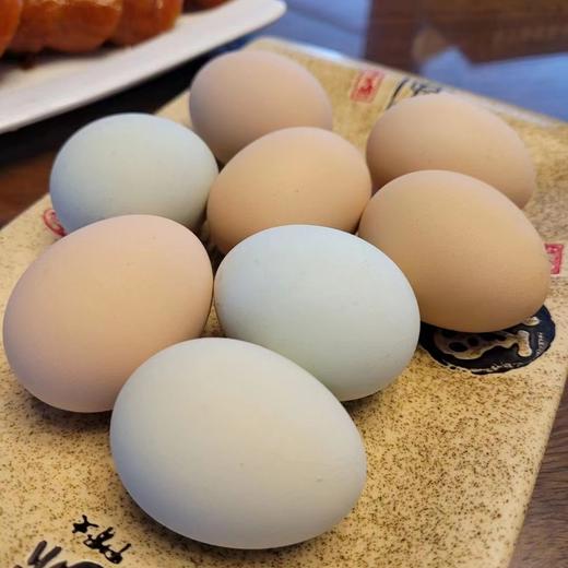 一正有机山鸡蛋 40枚/件  山间梯田放养，美味，安全，营养，新鲜 商品图6