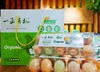 一正有机山鸡蛋 40枚/件  山间梯田放养，美味，安全，营养，新鲜 商品缩略图7