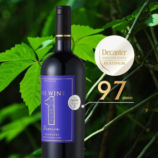 【铂金奖+高分】智利1号限量珍藏卡曼纳干红2019 商品图1