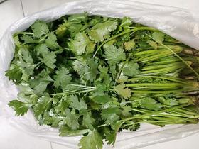 香菜一斤