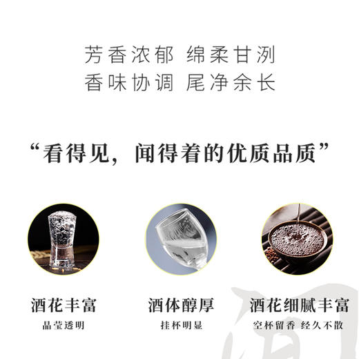 【馥郁香型】酒鬼鉴赏装500ml 52度 商品图5