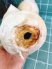 椰皇2个 商品缩略图2