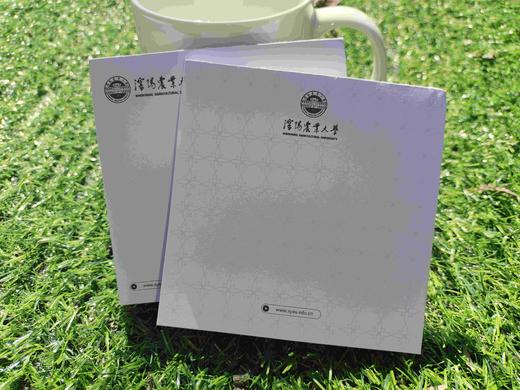 syau沈农便签（国槐绿）便利贴 沈阳农业大学 商品图2