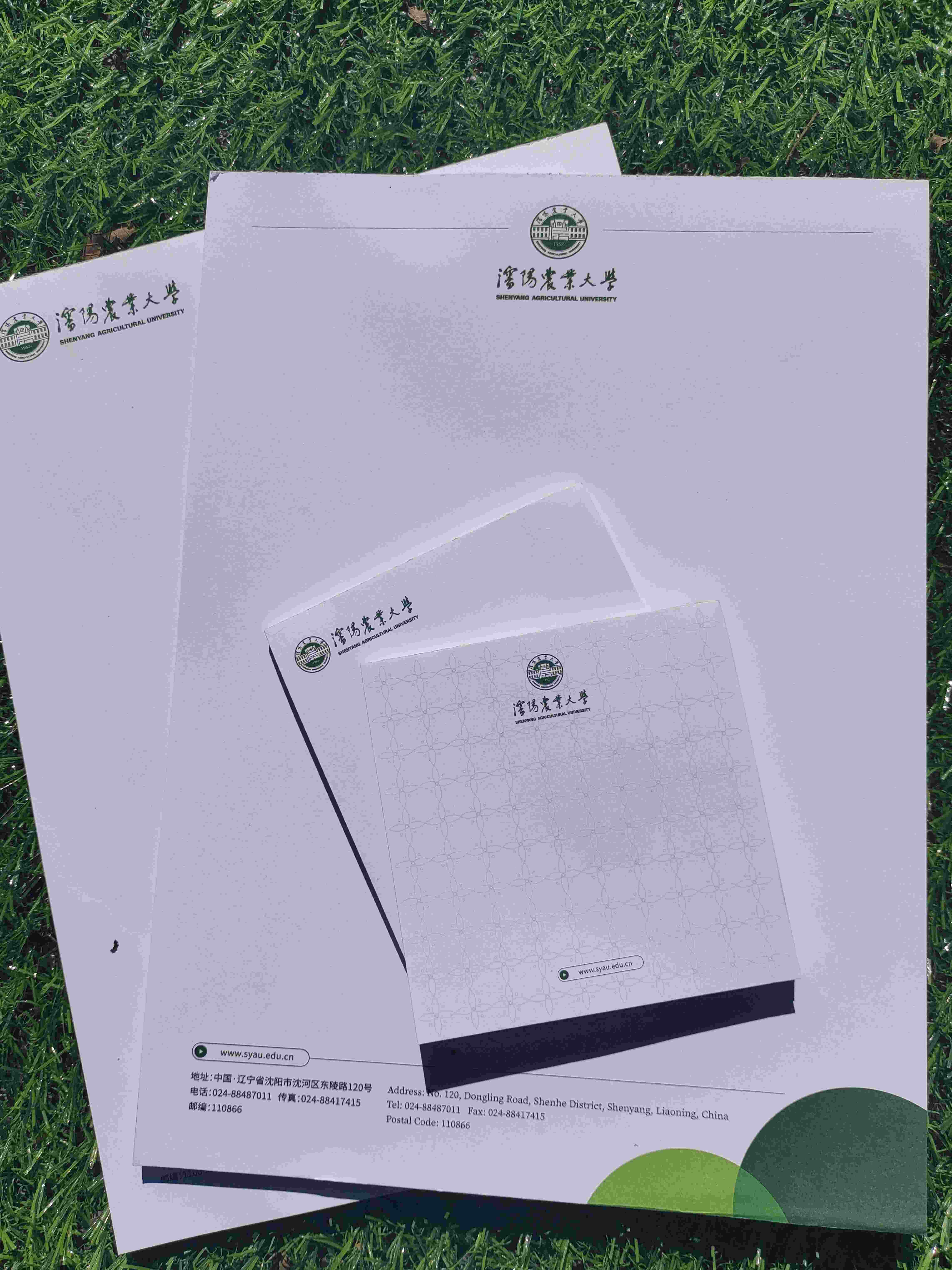 syau沈农便签（国槐绿）便利贴 沈阳农业大学