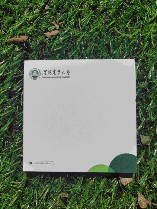 syau沈农便签（国槐绿）便利贴 沈阳农业大学 商品图3