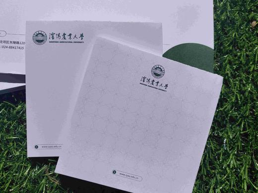 syau沈农便签（国槐绿）便利贴 沈阳农业大学 商品图1