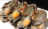 缅甸蟹（活） 1000g(默认杀好，不杀请备注） 商品缩略图0