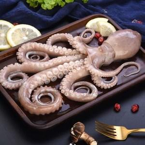 【鲜活】八爪鱼   一斤3-4个左右 商品图0