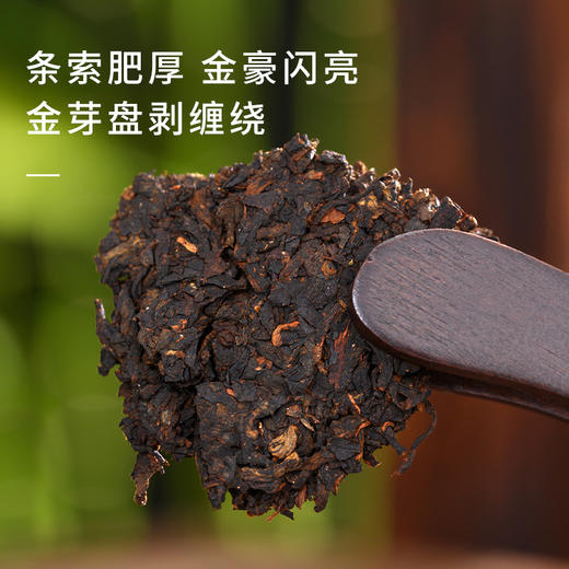 【云南普洱熟茶】云南布朗山古树 08年老茶料 商品图1