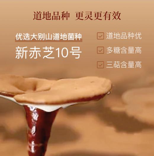 正安·破壁灵芝孢子粉  适合免疫力低下、亚健康人群，增强免疫力  满2盒送手提袋 商品图2