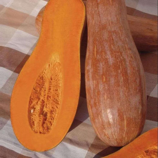 【生鲜预定】老南瓜3kg（整个） 商品图0