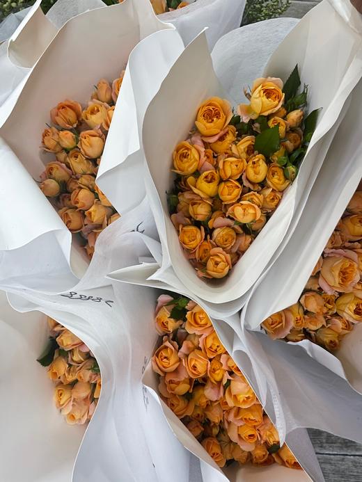 【秒杀福利】果汁阳台 10枝 商品图8