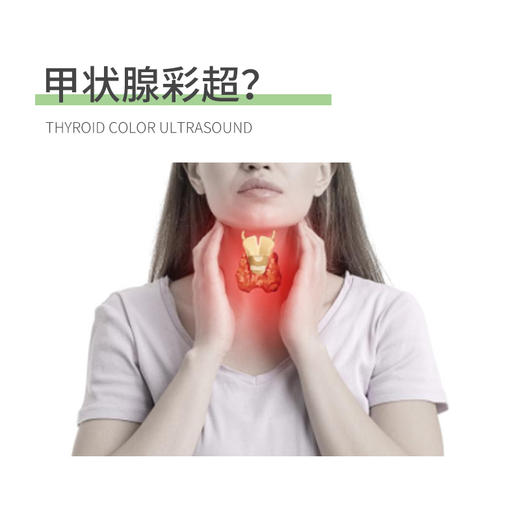 彩超检查三选一（腹部、甲状腺、泌尿系） 商品图2
