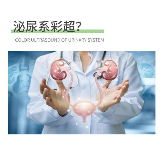彩超检查三选一（腹部、甲状腺、泌尿系） 商品图1