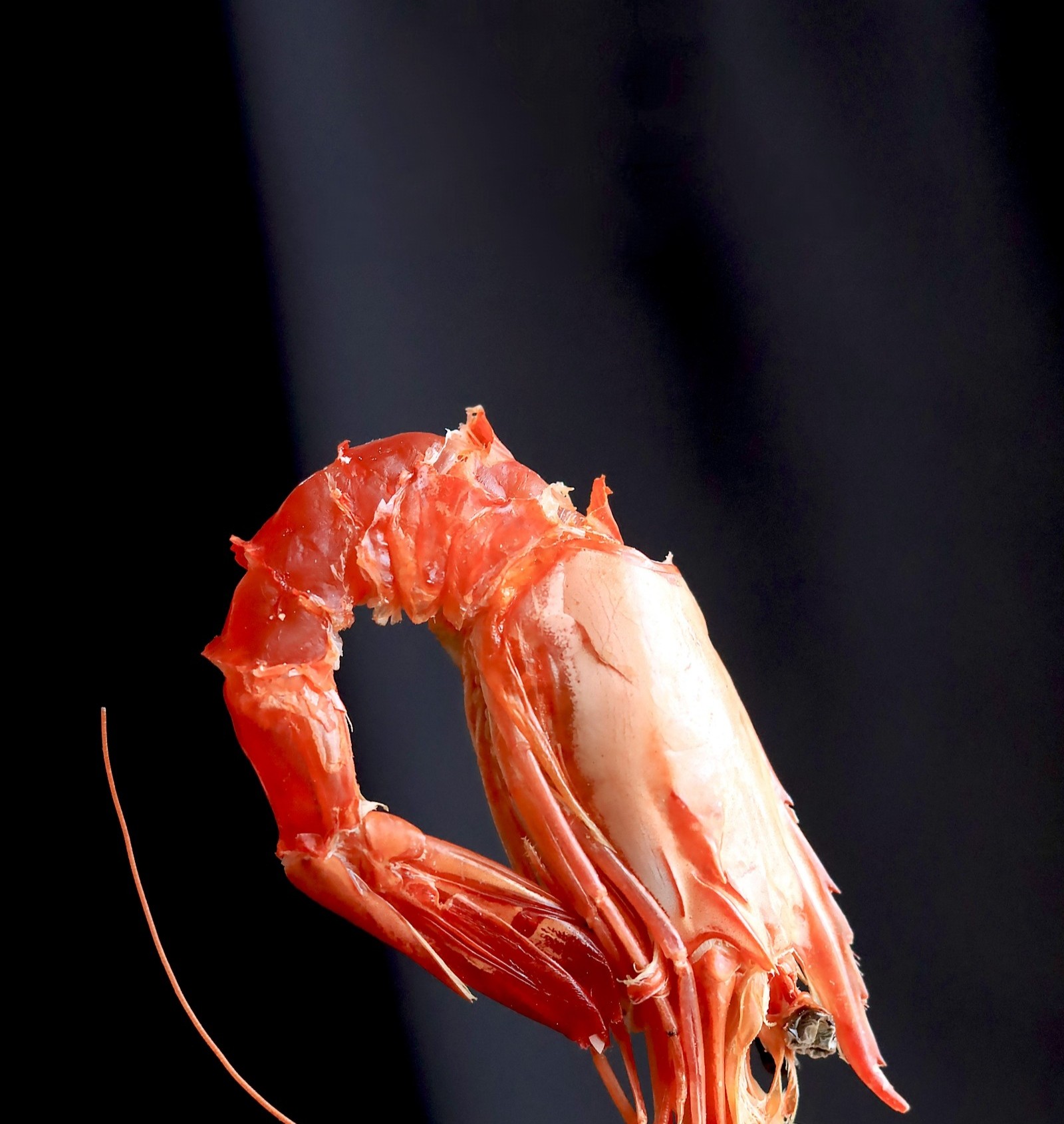 紫菜妈妈 九节虾干