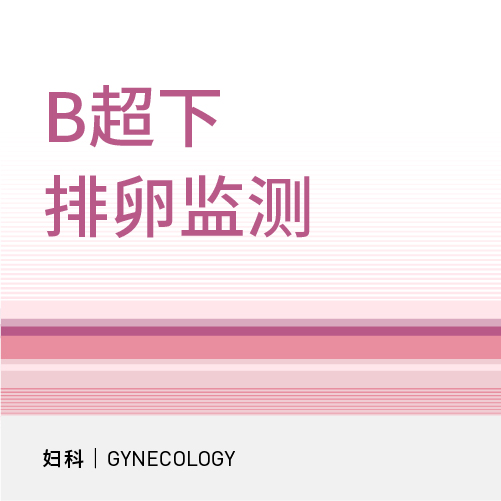 B超下排卵监测套餐