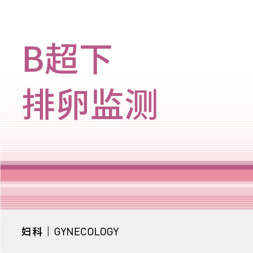 B超下排卵监测套餐 商品图0