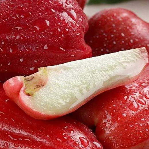 黑金刚莲雾 约500g/份（脆甜汁多） 商品图2