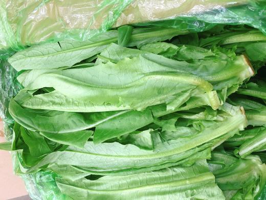 油麦菜2斤 商品图1