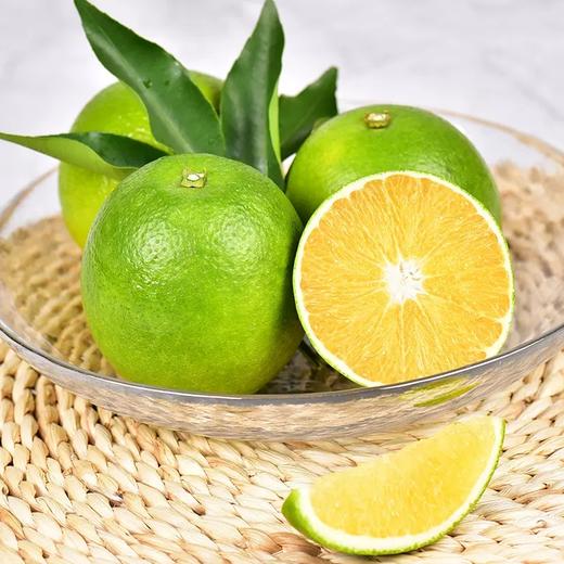 【特级】实建褚橙特级5kg/件 商品图2