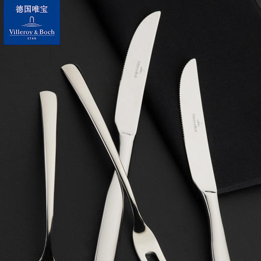 villeroyboch德国唯宝进口18-10不锈钢西餐刀叉勺套装家用皮尔蒙 商品图2