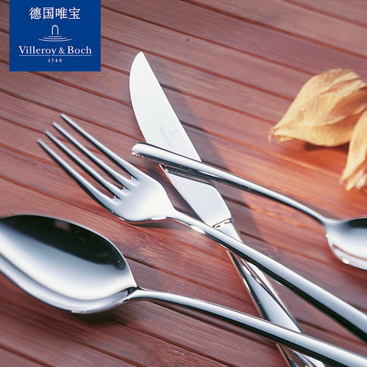 villeroyboch德国唯宝进口18-10不锈钢西餐刀叉勺套装家用皮尔蒙 商品图1
